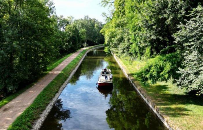 Loire. The lifeless body of a baby discovered in a garbage bag in Mably