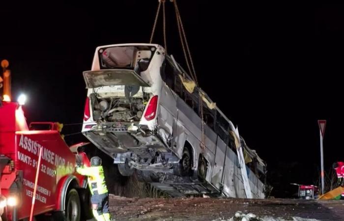 Two Alsatians died after a bus fell into a frozen lake in Norway