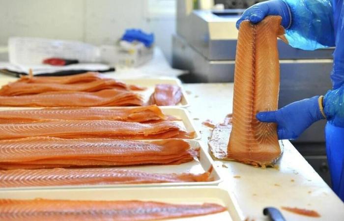 Listeria. Organic smoked salmon recalled in several departments