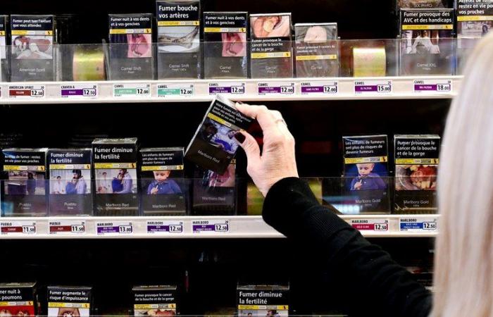 Increase in the price of tobacco on January 1: “We will soon offer higher prices than in jewelry stores”, tobacconists in Carcassonne share their experience