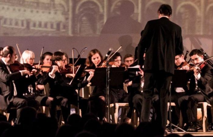 New Year's concert by the Tarn orchestral ensemble