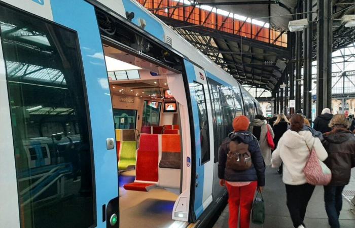 SNCF. The driver of a train attacked at Lyon station in Paris, the suspect admitted to psychiatry