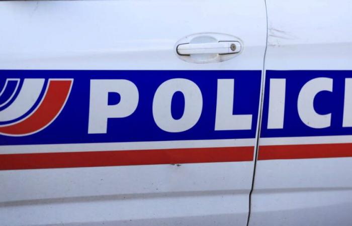 Loire. A baby discovered dead in a garbage bag near Roanne