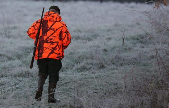 Hunters and sport shooters have until December 31 to declare their weapons online