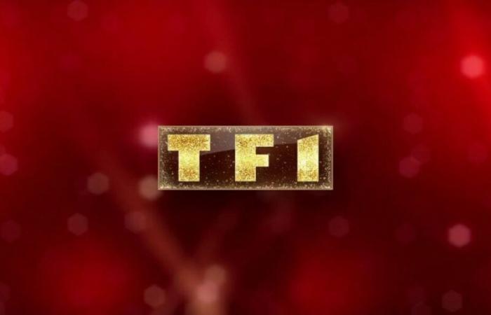 TF1 in mourning, the channel pays tribute to a person who meant a lot in its history