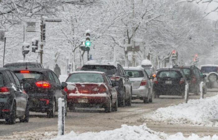 Weather forecast for January 2025 in Quebec: Prepare to see all kinds