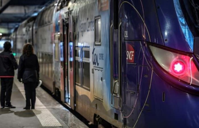 SNCF train driver violently attacked at Gare de Lyon, suspect arrested