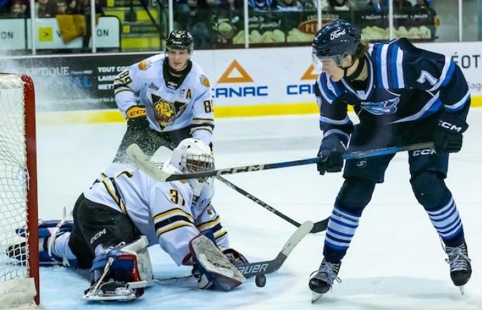 Perfect weekend for Saguenéens