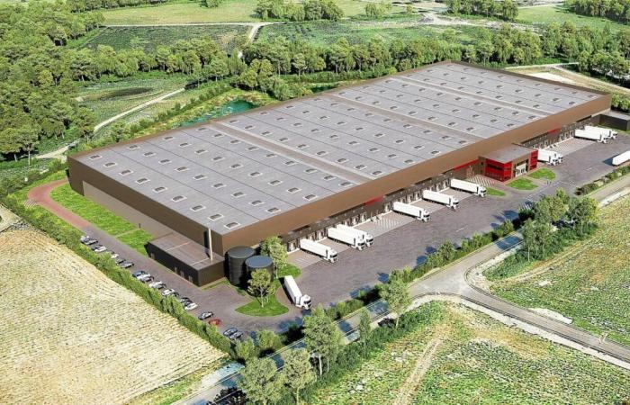 In Ille-et-Vilaine, a new mega-logistics platform under construction