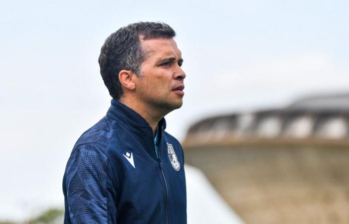 Luis Castro, Rui Almeida, Jorge Maciel, Jorge Costa and now Bruno Baltazar (SM Caen)… in Ligue 2, the Portuguese coach is in fashion