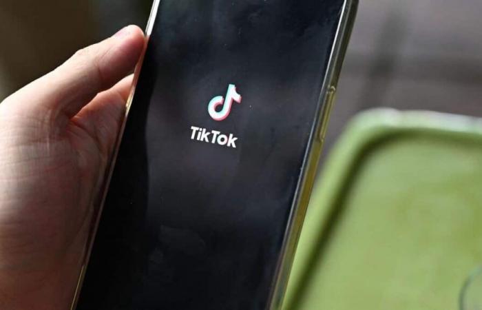 Deadly Challenges: TikTok fined $10M