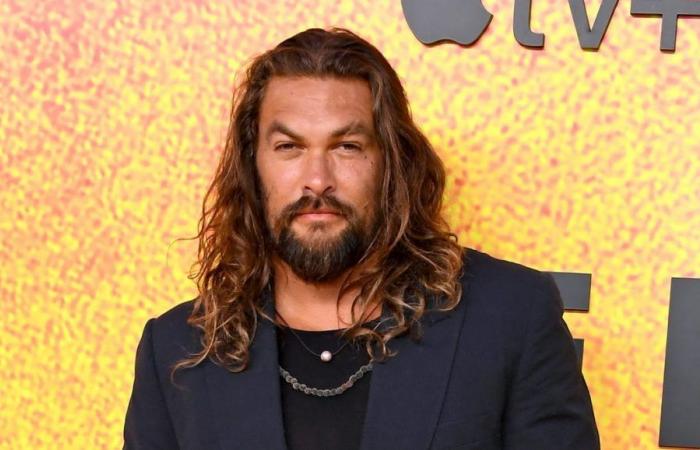 Jason Momoa will play the DC character in the cinema