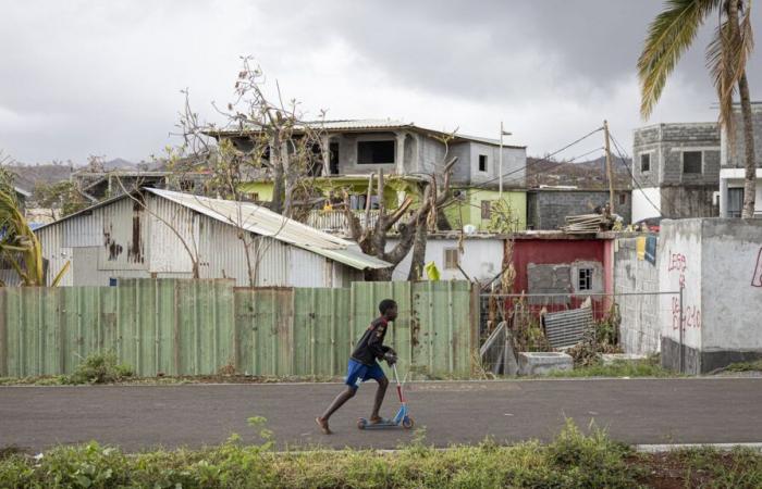 In Mayotte, the big challenge for telecommunications operators, after the sweeping of relay antennas by Cyclone Chido