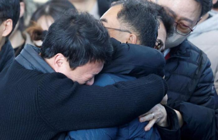 ‘I’m the only one who survived’: Korean man lost 12 family members in South Korea crash