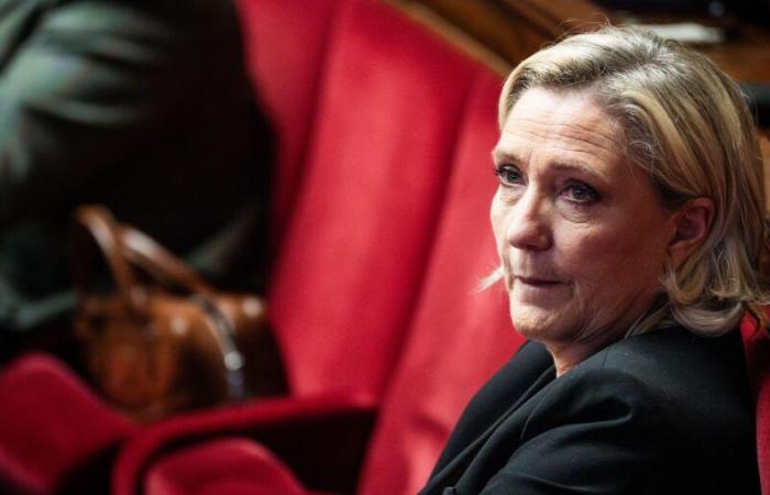 Marine Le Pen hopes that 2025 will be a “decisive year” to put France “back in the race of History”