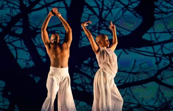 South Africa: Famous dancer Dada Masilo dies at 39