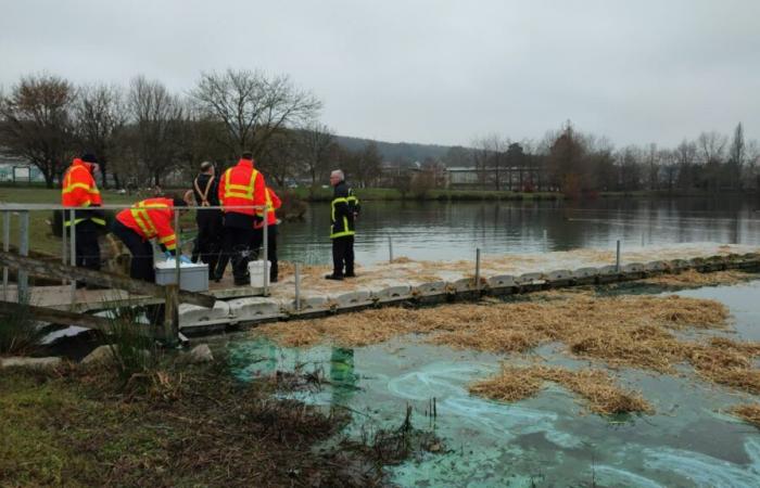 the Montville body of water polluted “probably deliberately”