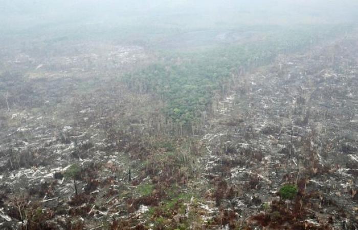 First photos of an isolated community in the Amazon