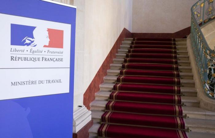 “There will be a reduction in the number of recruitments”, warns the National Association of Apprentices of France