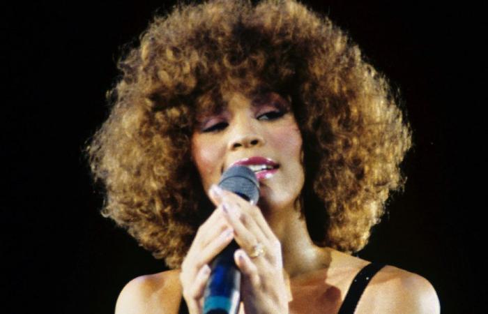 Whitney Houston: her former bodyguard admits to having almost “given up everything” to be her lover