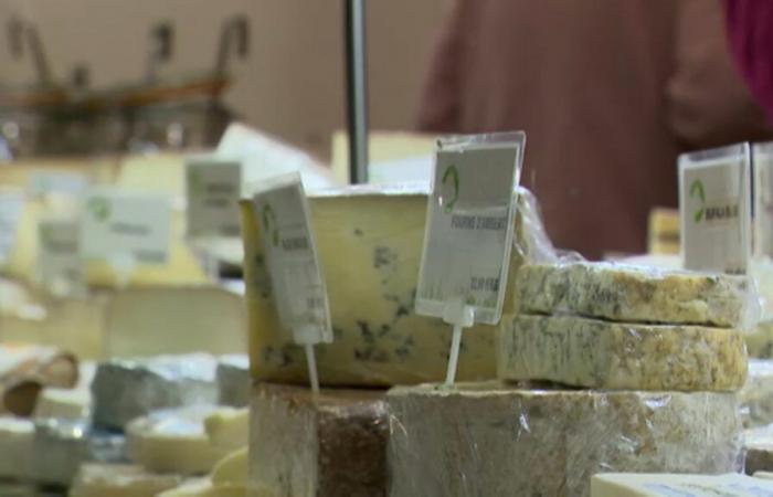 “It’s a must”: why cheese remains one of the star products on end-of-year holiday menus