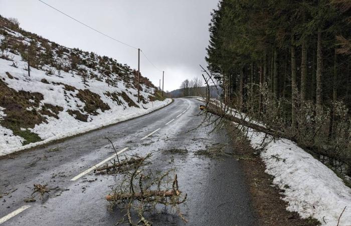 The year 2024 among the rainiest in 40 years in Haute-Loire