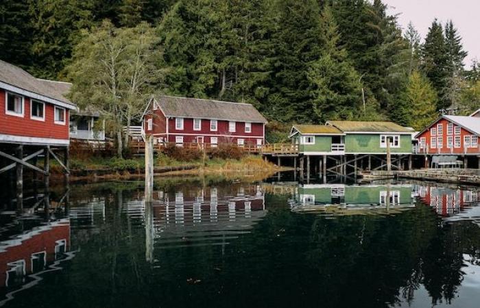 Fire destroys part of historic Telegraph Cove boardwalk