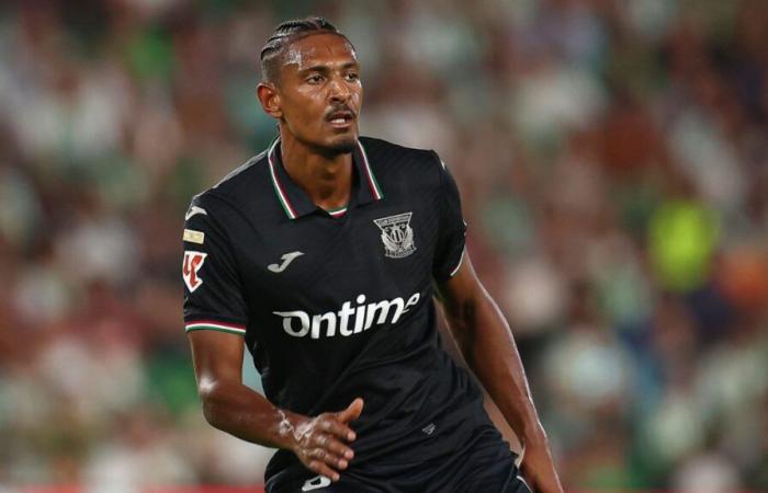 Sébastien Haller is aiming for a return to an ex!