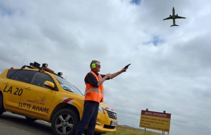 how do French airports protect themselves against risks linked to birds?