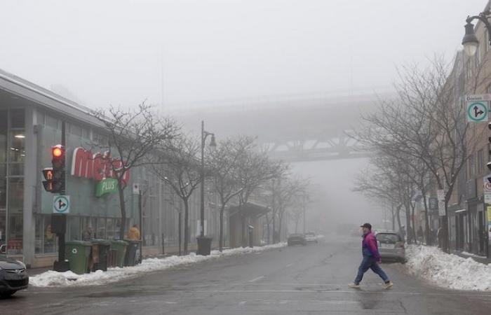 The end of 2024 feels like spring in Quebec