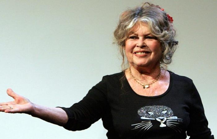 Brigitte Bardot rants and denounces a massacre