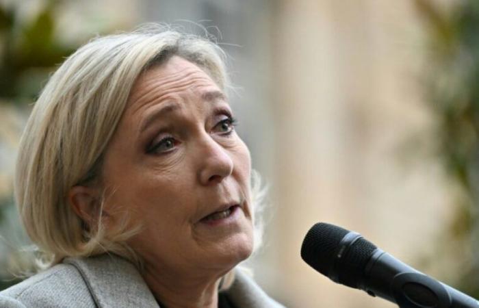 Marine Le Pen hopes that 2025 will put France back “in the race of History”