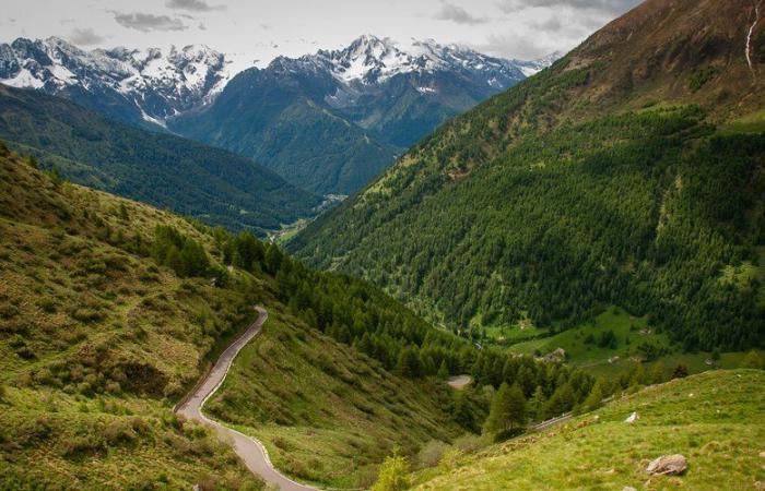 Human bones found in the Hautes-Alpes: identification, investigation… what we know about the sordid discovery