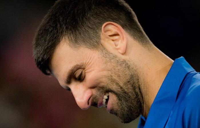 ATP – Brisbane > Novak Djokovic, after his first victory of the season: “Andy Murray is currently skiing with his family. I hope he doesn't get injured before coming to Melbourne for the Australian Open”