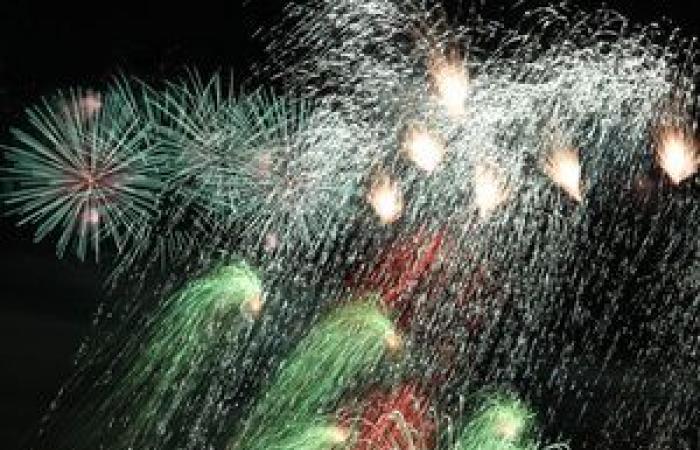 Some ideas for New Year's Eve in Val-de-Marne