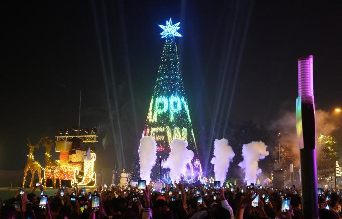 Revellers cheer in New Year around world despite bad…