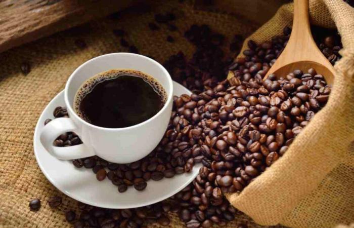 Drink this precise number of coffees per day to live two years longer: science proves it!