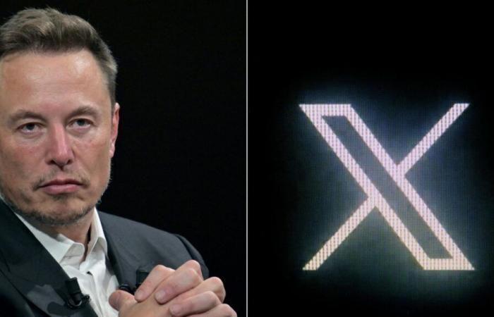 Elon Musk changes identity on X by adopting far-right internet codes