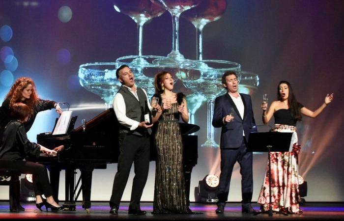 Four singers, a pianist and opera arias: the recipe for the Seeds of Stars Festival Concert Lot