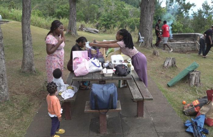 On the beach or in the heights, first picnic of 2025 for the people of Reunion