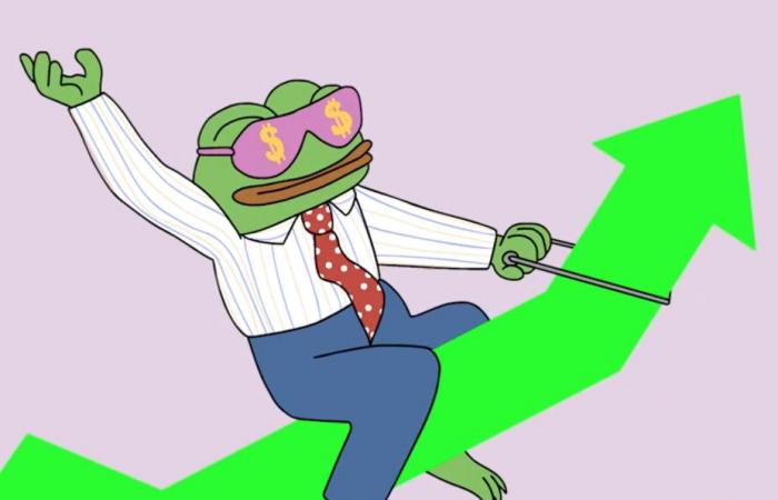 Elon Musk could help Wall Street Pepe