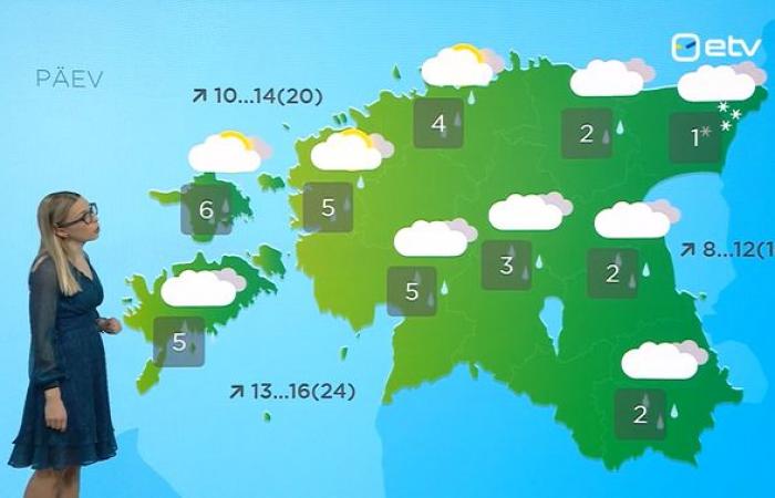 New Year’s day in Estonia brings wintry weather and fluctuating temperatures | news