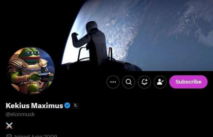 Elon Musk raises the PEPE price after putting a frog in his profile photo on the social network