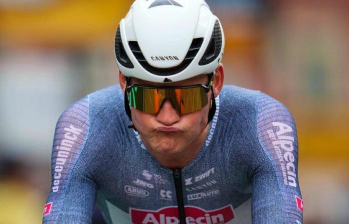 Cyclo-cross: Van der Poel gives up on GP Nys – “The embarrassment has gotten worse in recent days”