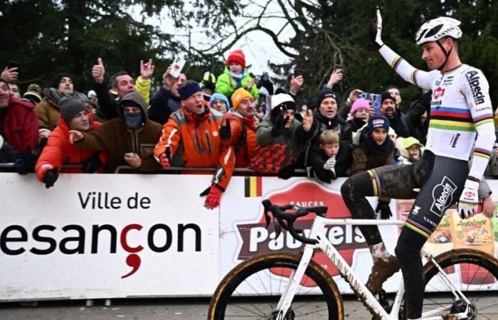 Grand Prix Sven Nys – Mathieu van der Poel, plowing star and undefeated this winter, a recipe that works