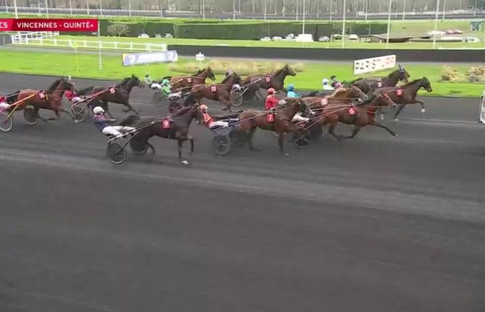 Quinté+: DOMINIK CORDEAU PRICE – PARIS-VINCENNES – 01/01/2025: runners, predictions and results in videos – Race 5