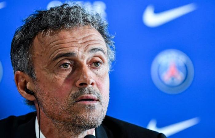 Clash at PSG: Luis Enrique will have the skin of a star?