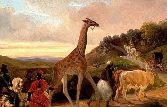 this village in Essonne welcomed Zarafa, the first giraffe to enter France