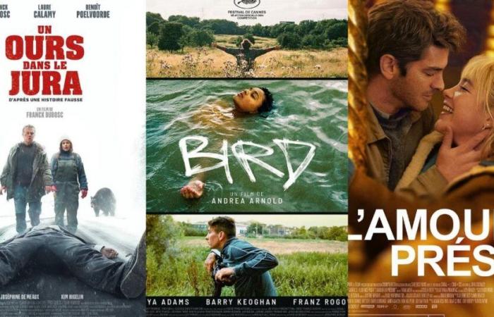 A Bear in the Jura, Bird, Love in the Present: New releases at the cinema this week