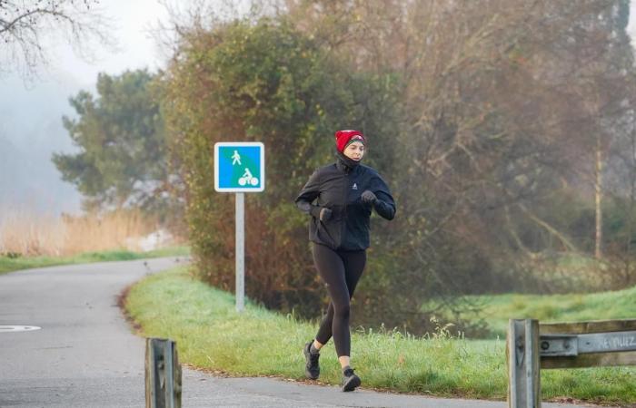 report in Bayonne with the joggers from January 1, 2025